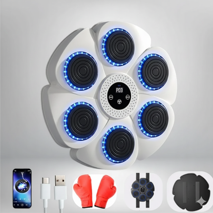 SchlagFit Interaktive Trainingswand