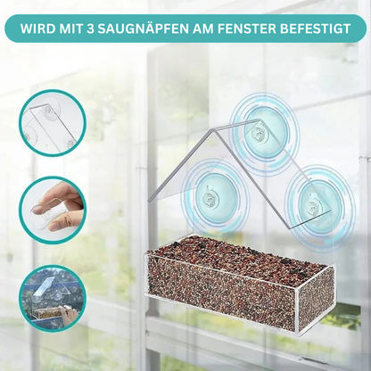 Durchsichtige Vogelfutterstation